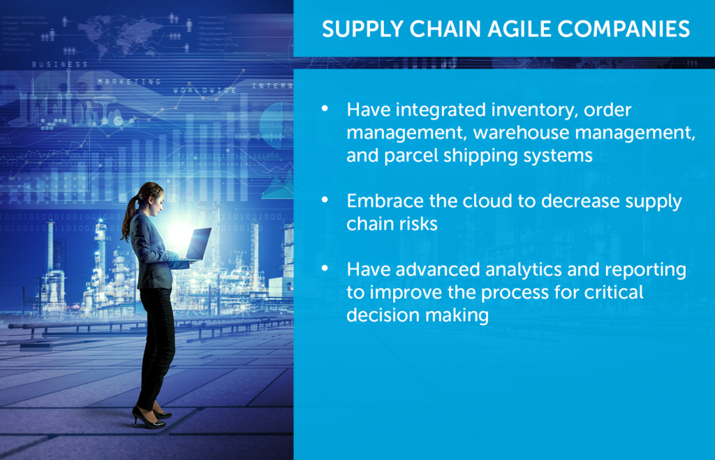 bullet points for supply chain agile companies based on blog text