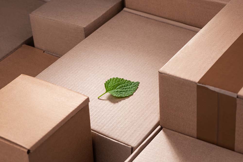 Instant Gratification vs. Sustainability: Logistyx President Ken Fleming Explores the Environmental Impact of E-commerce Parcel Shipping at Forbes